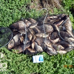 Рыбалка в Сусканском заливе